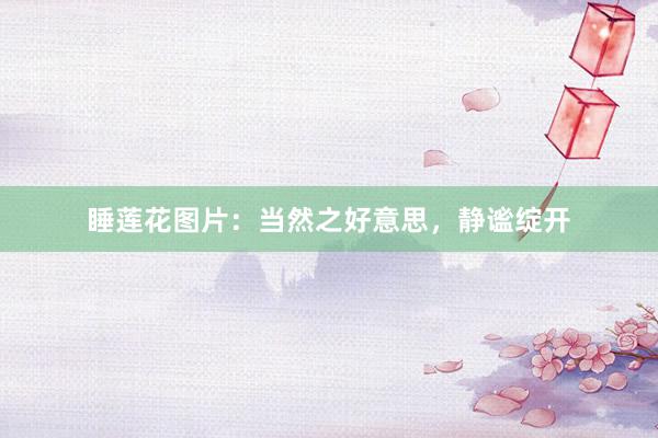 睡莲花图片：当然之好意思，静谧绽开